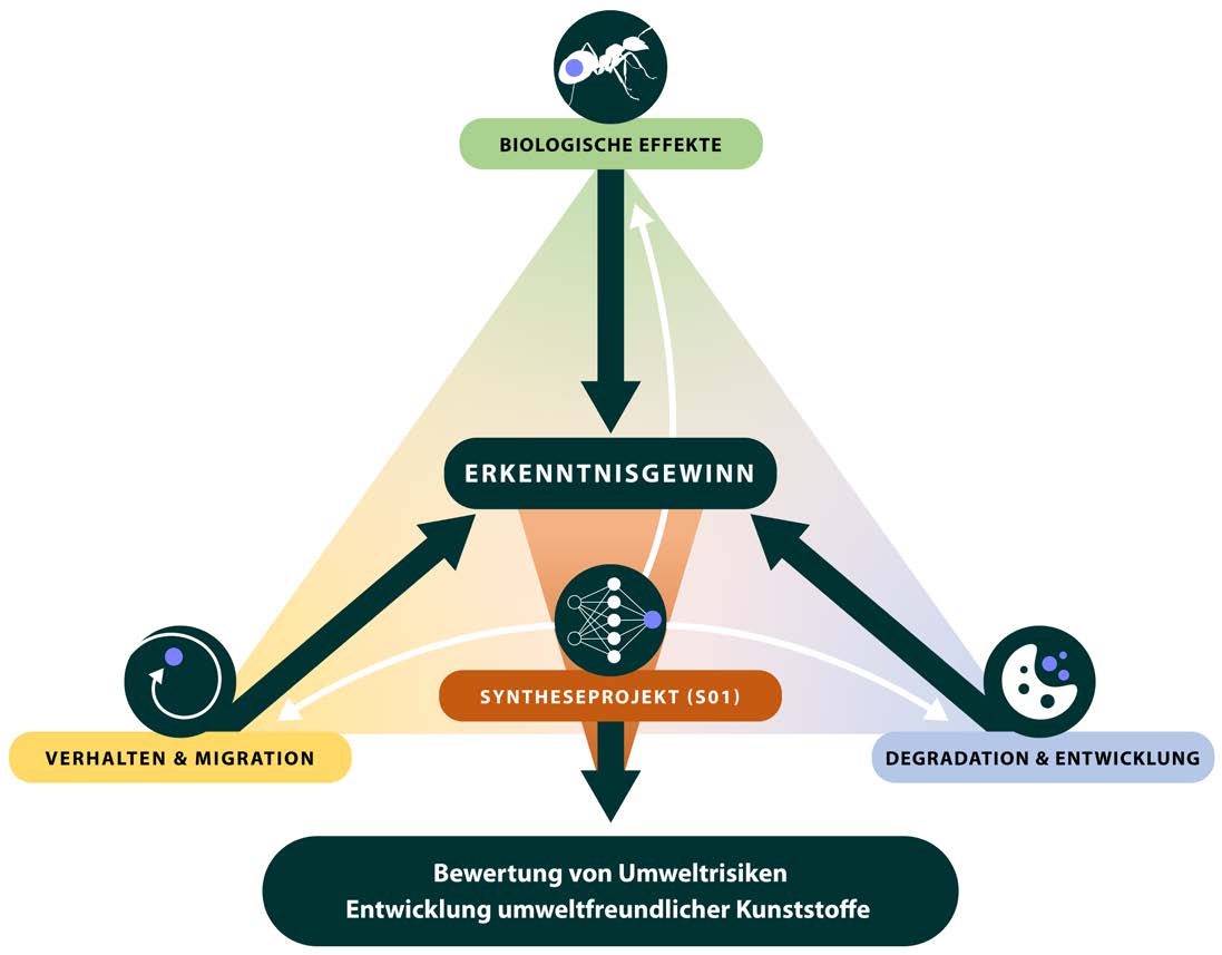 diagram displaying the position of the S01 project within the CRC 1357 microplastics